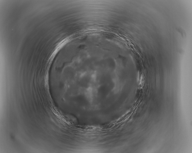 X0000112820099200908211214
