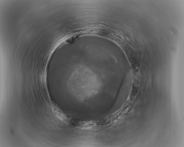 X0000112820100200908211214