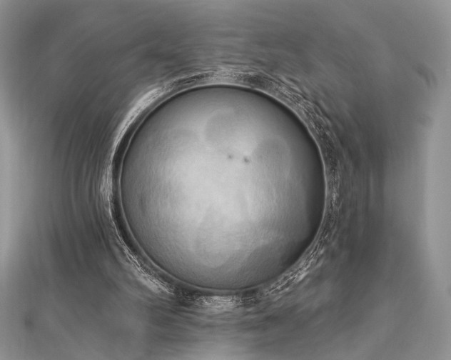 X0000112820102200908211214