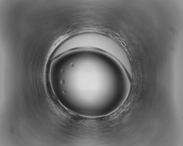 X0000112820104200908211214