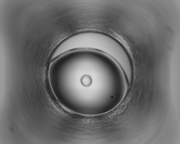 X0000112820105200908211214