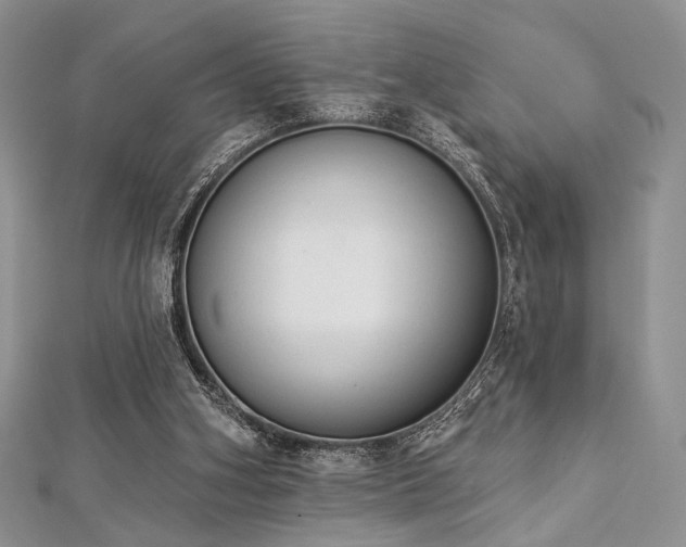 X0000112820106200908211214