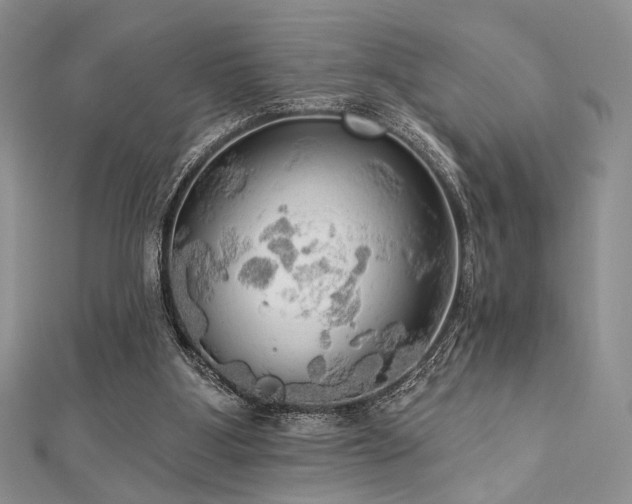 X0000112820107200908211214