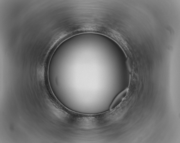 X0000112820108200908211214