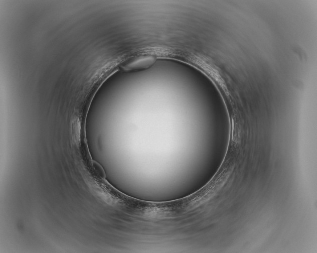 X0000112820109200908211214