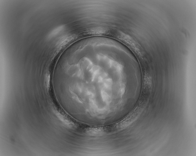 X0000112820110200908211214