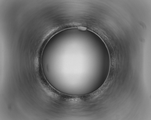 X0000112820112200908211214