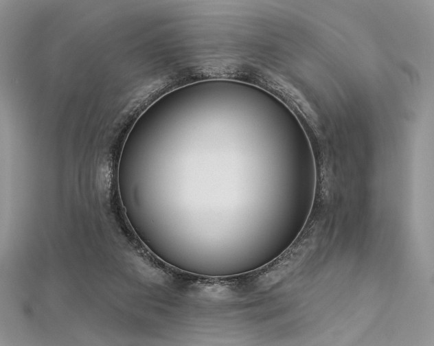 X0000112820113200908211214