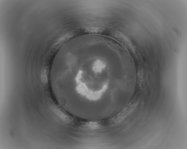 X0000112820114200908211214