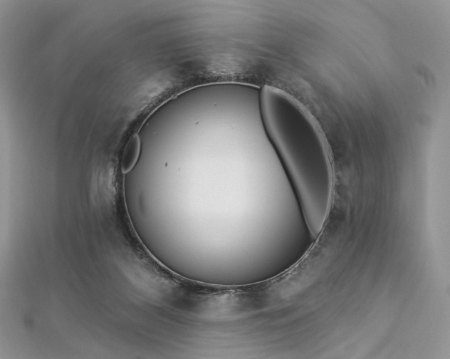 X0000112820116200908211214