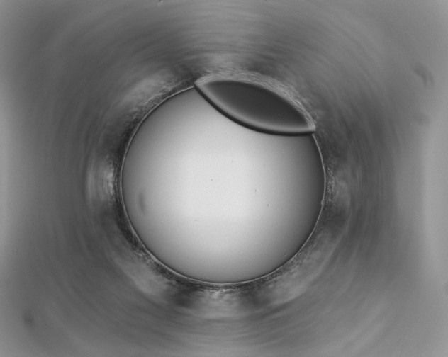 X0000112820117200908211214