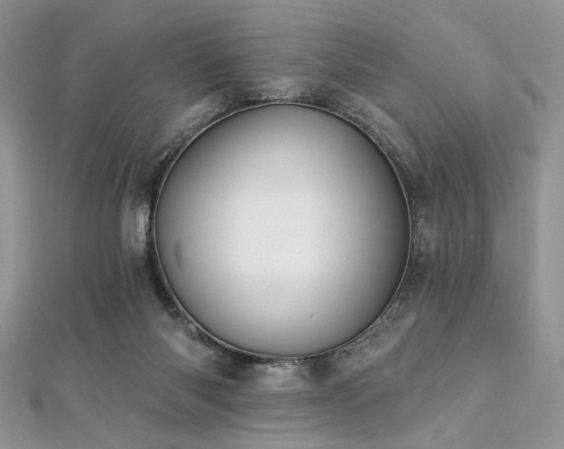 X0000112820118200908211214