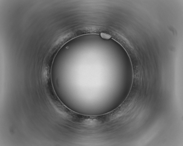 X0000112820119200908211214