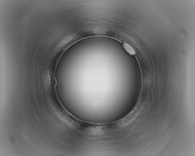 X0000112820120200908211214