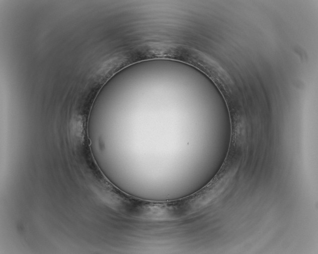 X0000112820121200908211214