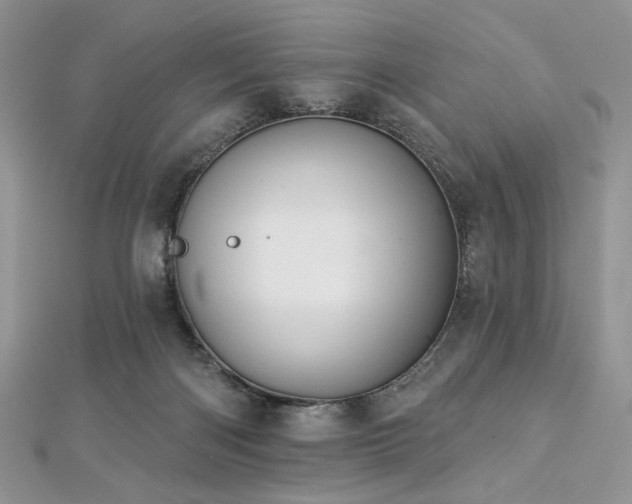 X0000112820122200908211214