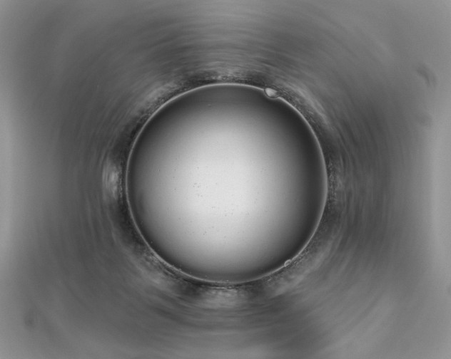 X0000112820123200908211214