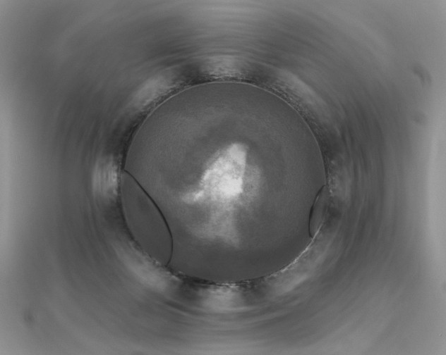 X0000112820124200908211214