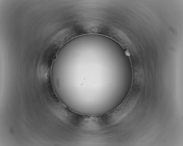 X0000112820125200908211214