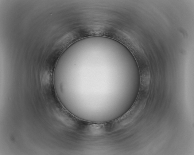 X0000112820126200908211214