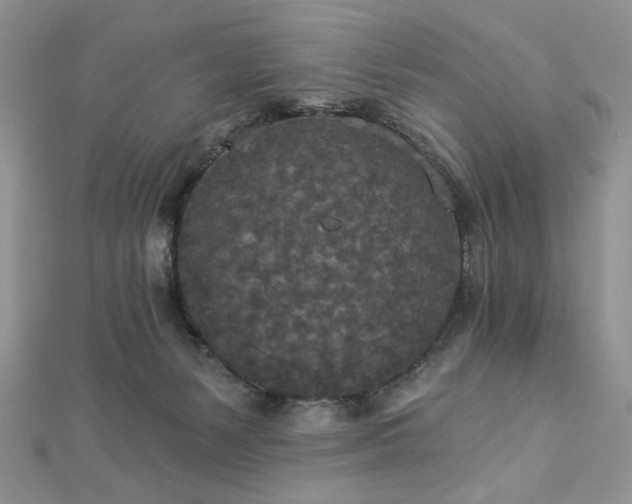 X0000112820127200908211214