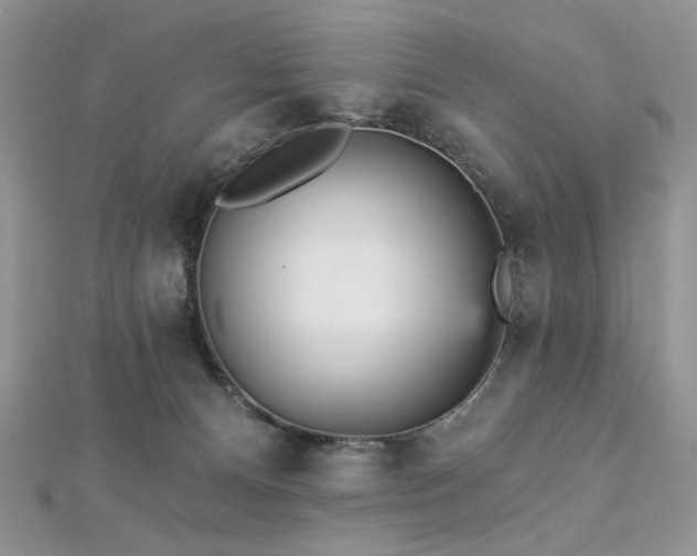 X0000112820128200908211214
