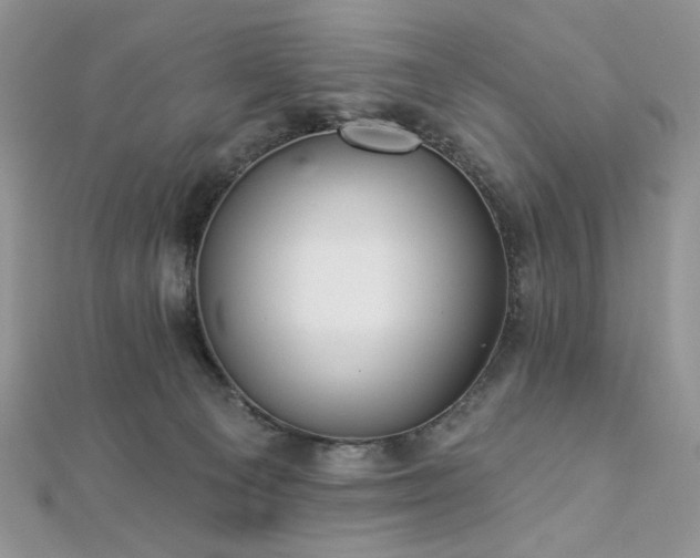 X0000112820129200908211214