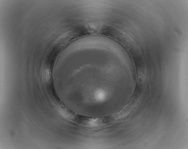 X0000112820130200908211214