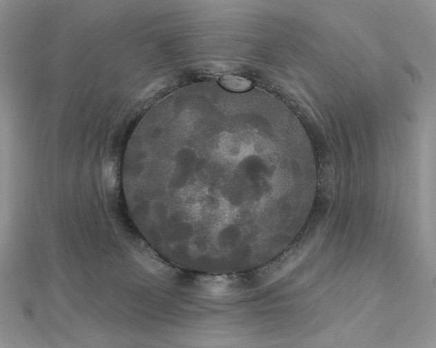 X0000112820131200908211214