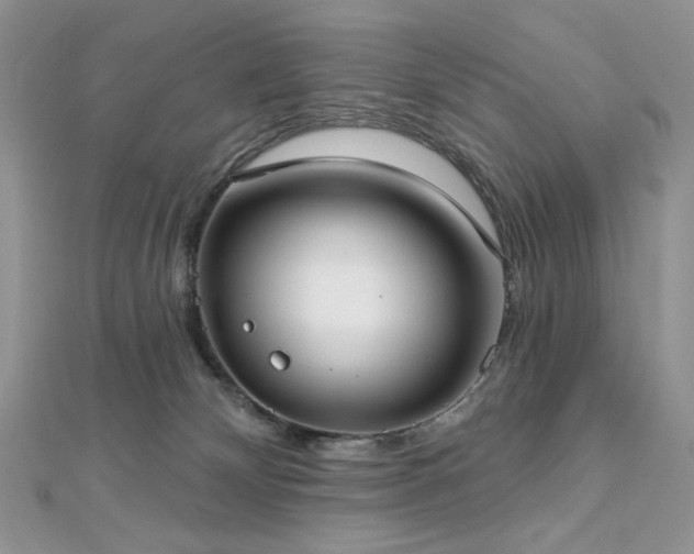 X0000112820132200908211214