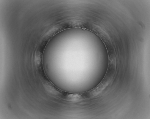 X0000112820133200908211214