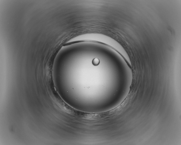 X0000112820136200908211214