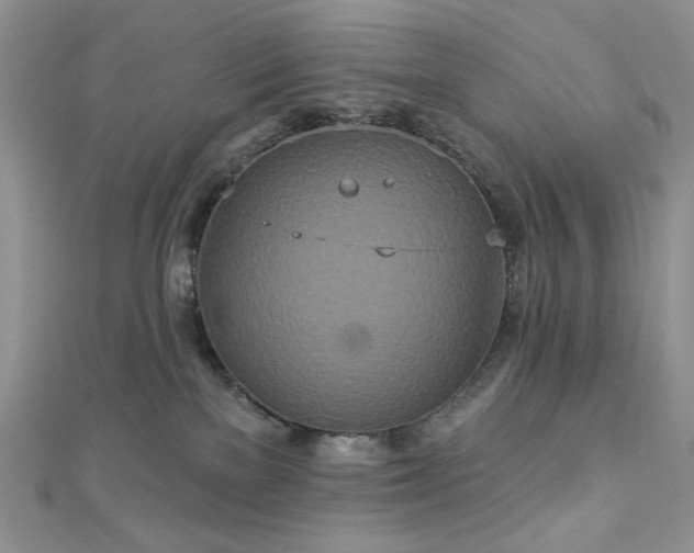 X0000112820137200908211214