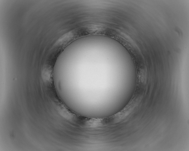 X0000112820138200908211214