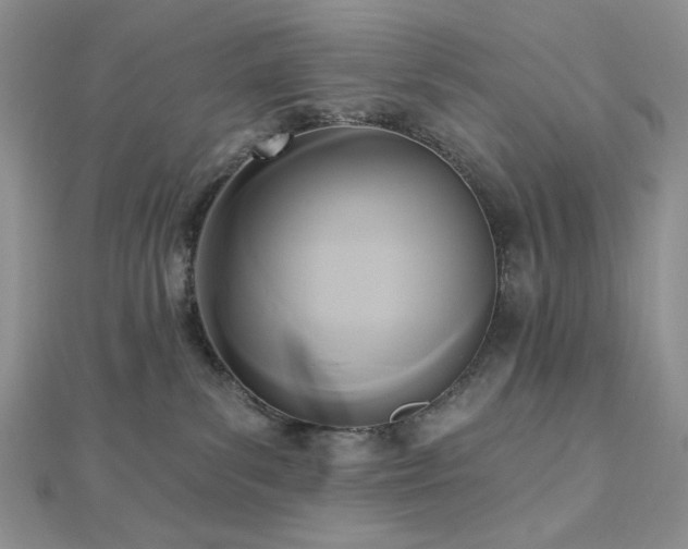 X0000112820139200908211214