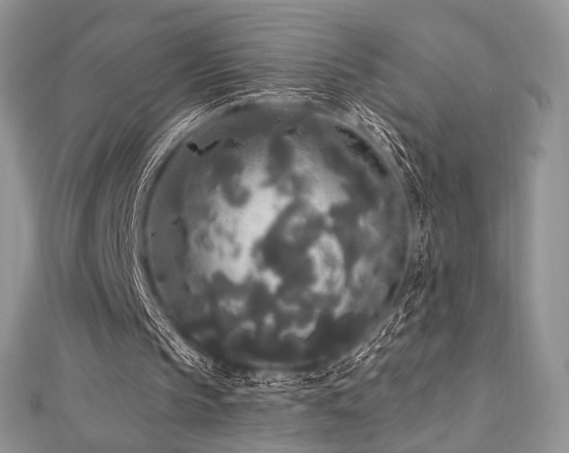 X0000112820145200908211213
