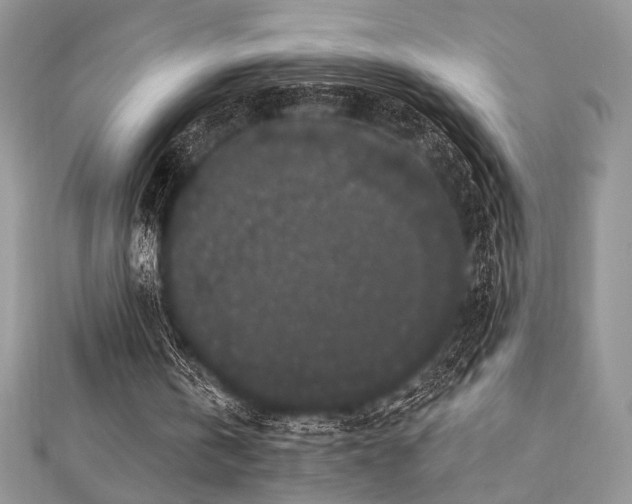 X0000112820146200908211213