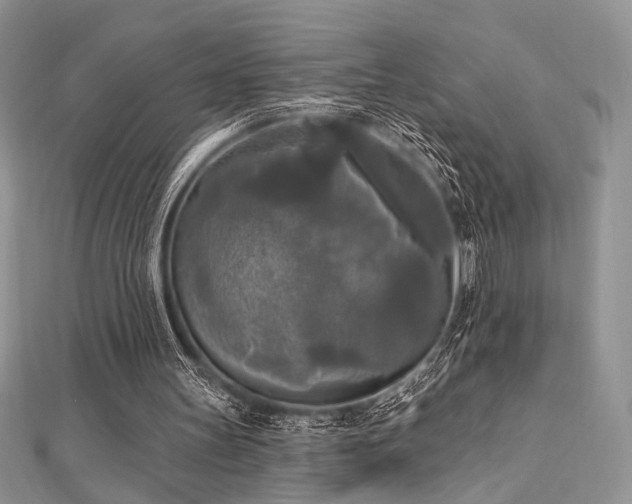 X0000112820147200908211213