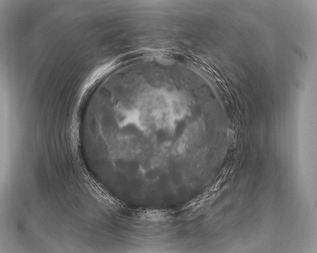 X0000112820149200908211213