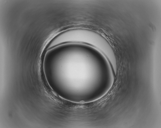 X0000112820152200908211213