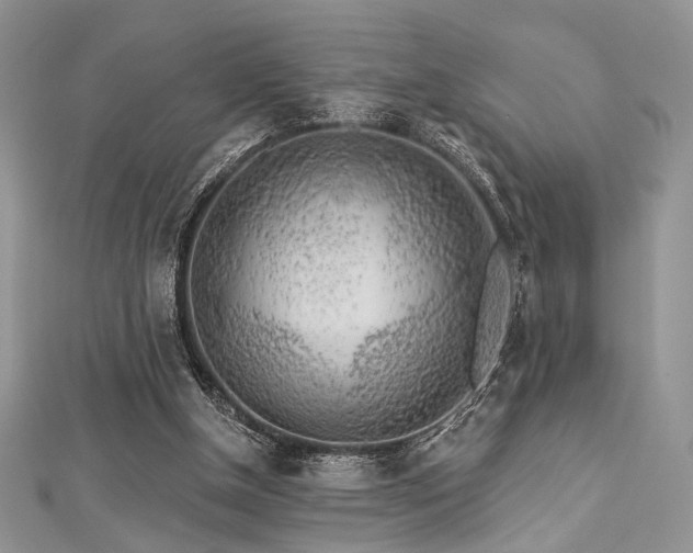 X0000112820154200908211213