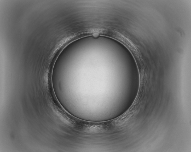 X0000112820155200908211213