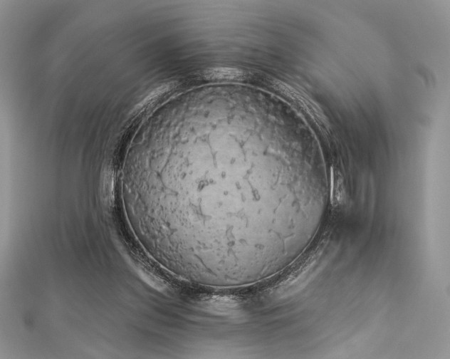 X0000112820157200908211213