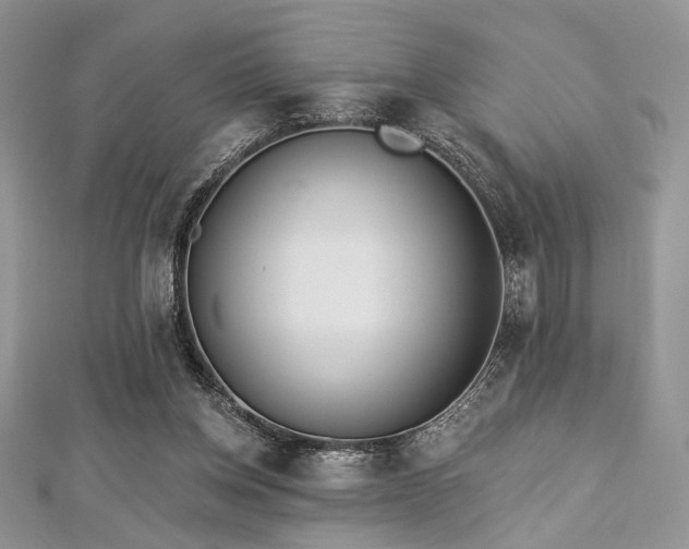 X0000112820158200908211213