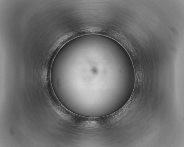 X0000112820159200908211213