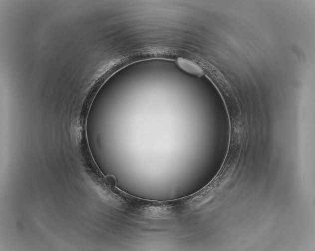 X0000112820160200908211213