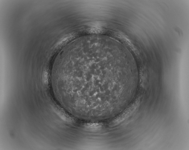 X0000112820161200908211213