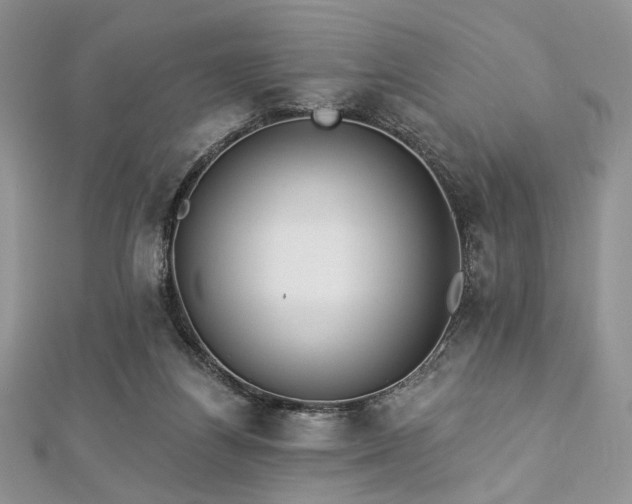 X0000112820164200908211213