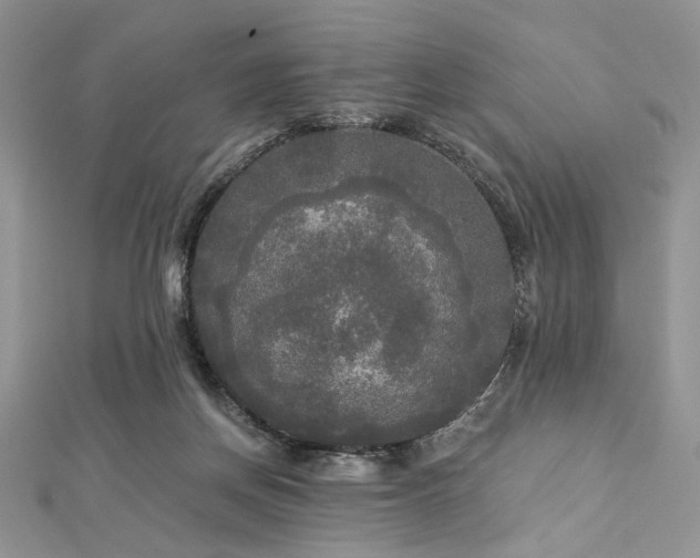 X0000112820166200908211213