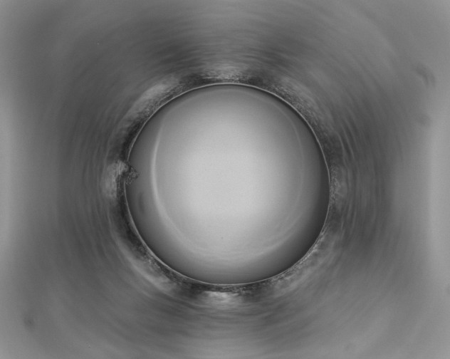 X0000112820167200908211213